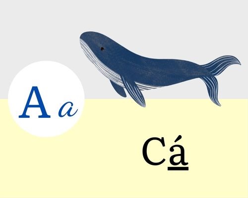 ຕົວອັກສອນ a
