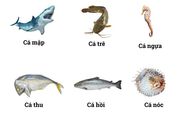 ສັດນ້ຳມີກະດູກສັນຫຼັງ