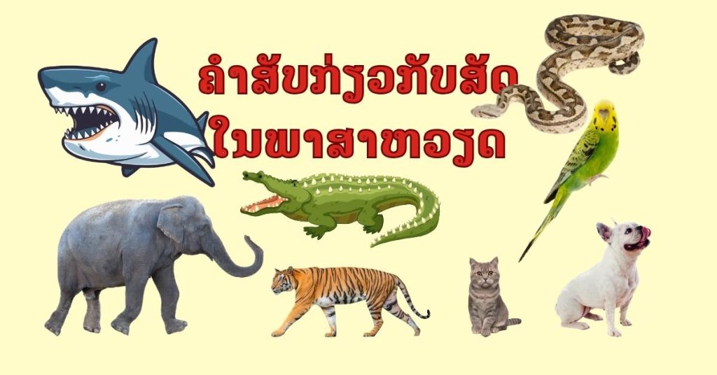 ຄຳສັບກ່ຽວກັບສັດໃນພາສາຫວຽດ