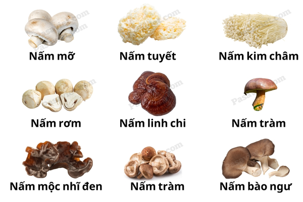 ເຫັດຊະນິດຕ່າງໆໃນພາສາຫວຽດ