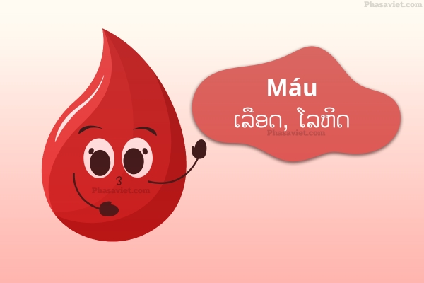 ຄຳສັບກ່ຽວກັບທາດແຫຼວຂອງຮ່າງກາຍໃນພາສາຫວຽດ