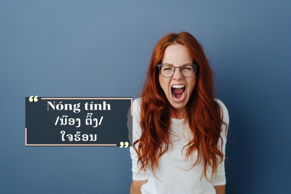 ຄຳສັບກ່ຽວກັບນິໄສໃຈຄໍໃນພາສາຫວຽດ